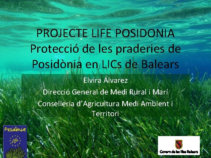 PROJECTE LIFE POSIDONIA Protecció de les praderies de Posidònia en LICs de Balears Elvira