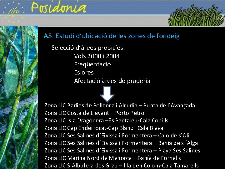 A 3. Estudi d’ubicació de les zones de fondeig Selecció d’àrees propícies: Vols 2000