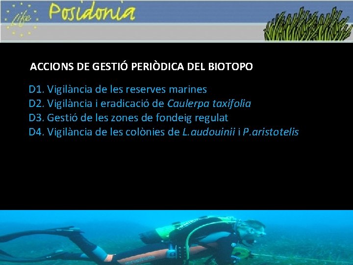 ACCIONS DE GESTIÓ PERIÒDICA DEL BIOTOPO D 1. Vigilància de les reserves marines D