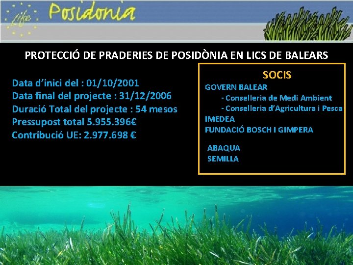 PROTECCIÓ DE PRADERIES DE POSIDÒNIA EN LICS DE BALEARS Data d’inici del : 01/10/2001