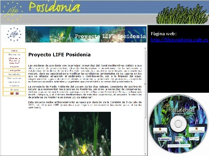 Pàgina web: http: //lifeposidonia. caib. es 
