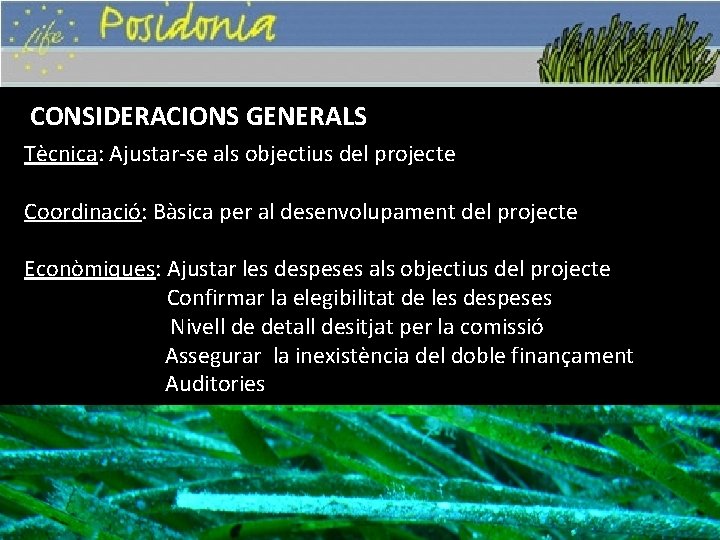 CONSIDERACIONS GENERALS Tècnica: Ajustar-se als objectius del projecte Coordinació: Bàsica per al desenvolupament del