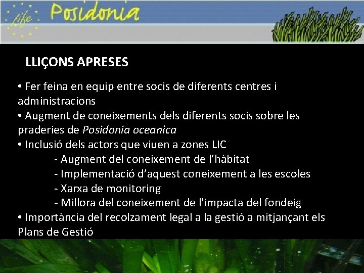 LLIÇONS APRESES • Fer feina en equip entre socis de diferents centres i administracions