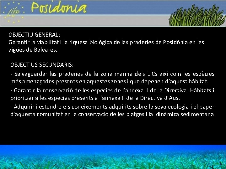 OBJECTIU GENERAL: Garantir la viabilitat i la riquesa biològica de las praderies de Posidònia