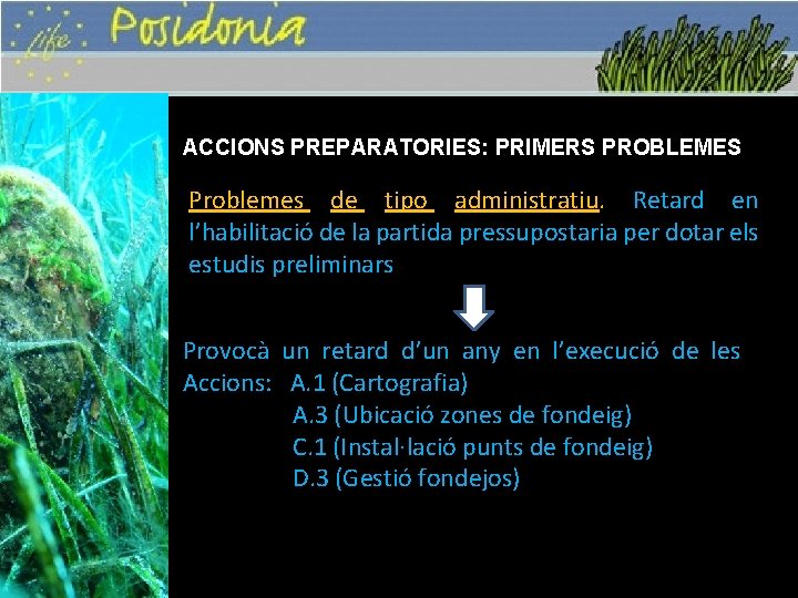 ACCIONS PREPARATORIES: PRIMERS PROBLEMES Problemes de tipo administratiu. Retard en l’habilitació de la partida