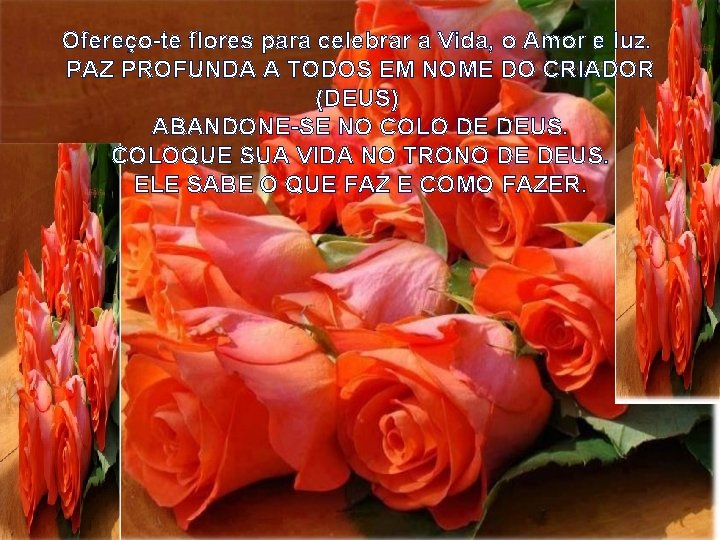 Ofereço-te flores para celebrar a Vida, o Amor e luz. PAZ PROFUNDA A TODOS