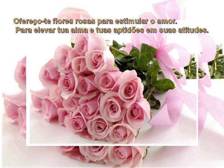 Ofereço-te flores rosas para estimular o amor. Para elevar tua alma e tuas aptidões