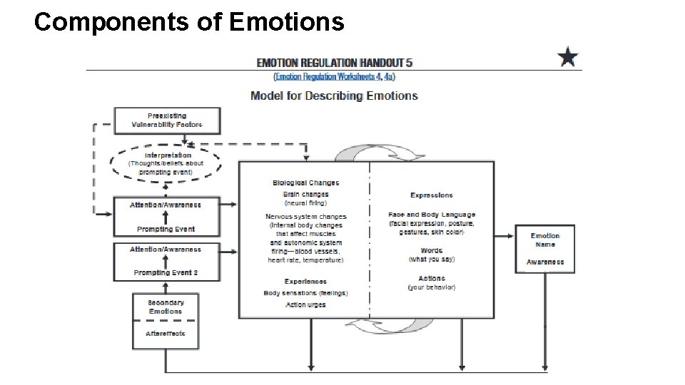 Components of Emotions 