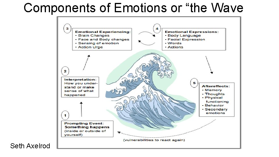 Components of Emotions or “the Wave Seth Axelrod 