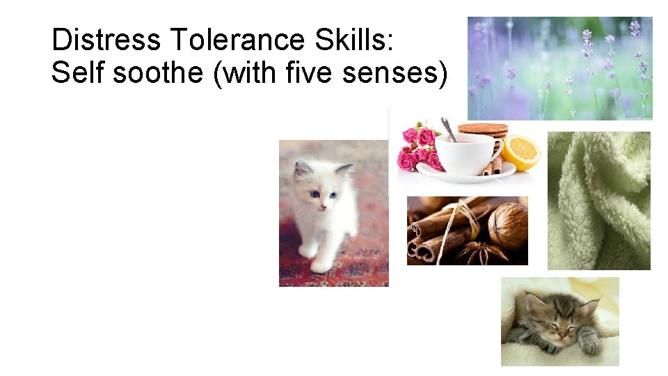 Distress Tolerance Skills: Self soothe (with five senses) 