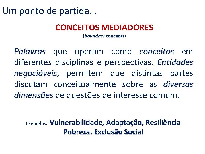 Um ponto de partida. . . CONCEITOS MEDIADORES (boundary concepts) concepts Palavras que operam