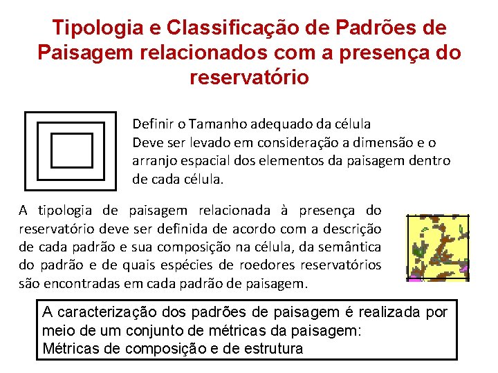 Tipologia e Classificação de Padrões de Paisagem relacionados com a presença do reservatório Definir