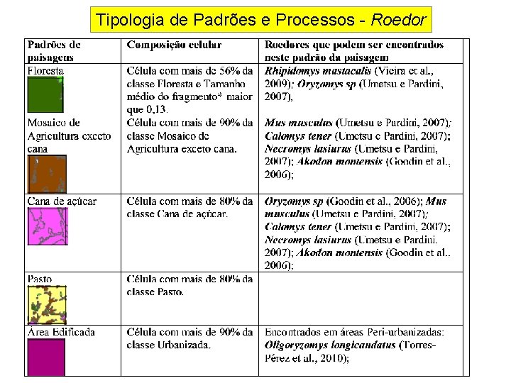 Tipologia de Padrões e Processos - Roedor 