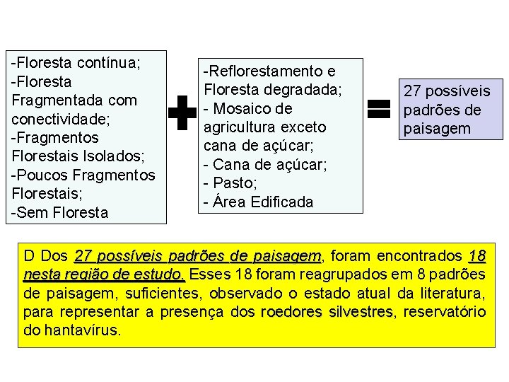 -Floresta contínua; -Floresta Fragmentada com conectividade; -Fragmentos Florestais Isolados; -Poucos Fragmentos Florestais; -Sem Floresta