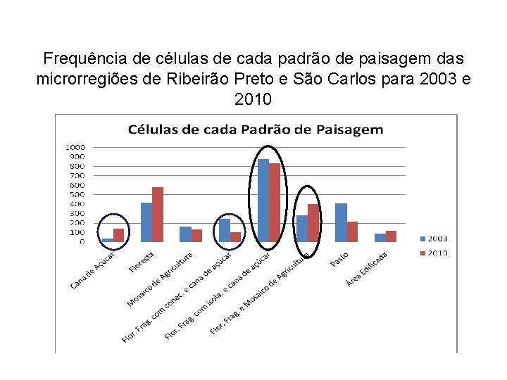 Frequência de células de cada padrão de paisagem das microrregiões de Ribeirão Preto e