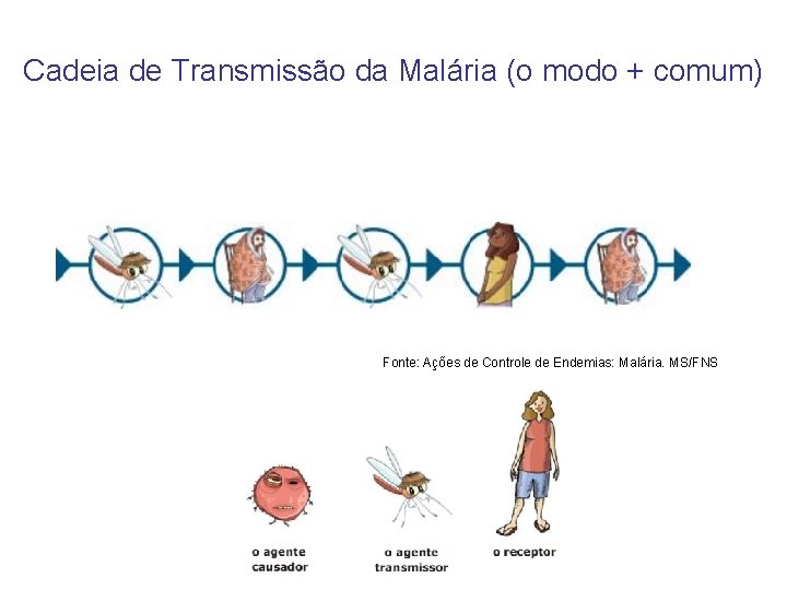 Cadeia de Transmissão da Malária (o modo + comum) Fonte: Ações de Controle de