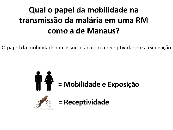 Qual o papel da mobilidade na transmissão da malária em uma RM como a