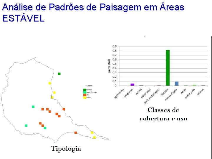 Análise de Padrões de Paisagem em Áreas ESTÁVEL 