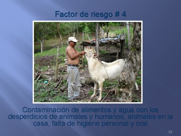 Factor de riesgo # 4 Contaminación de alimentos y agua con los desperdicios de