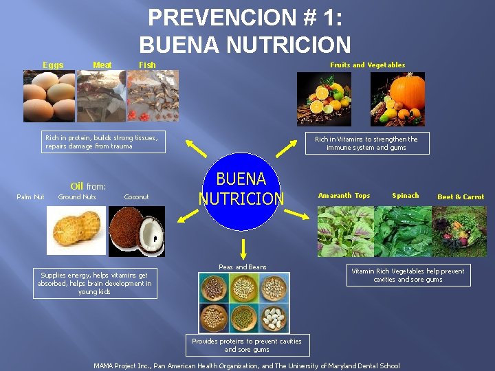 PREVENCION # 1: BUENA NUTRICION Eggs Meat Fruits and Vegetables Fish Rich in protein,