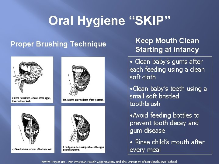 Oral Hygiene “SKIP” Proper Brushing Technique Keep Mouth Clean Starting at Infancy • Clean