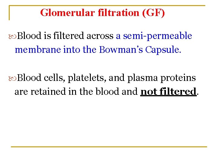 Glomerular filtration (GF) Blood is filtered across a semi-permeable membrane into the Bowman’s Capsule.