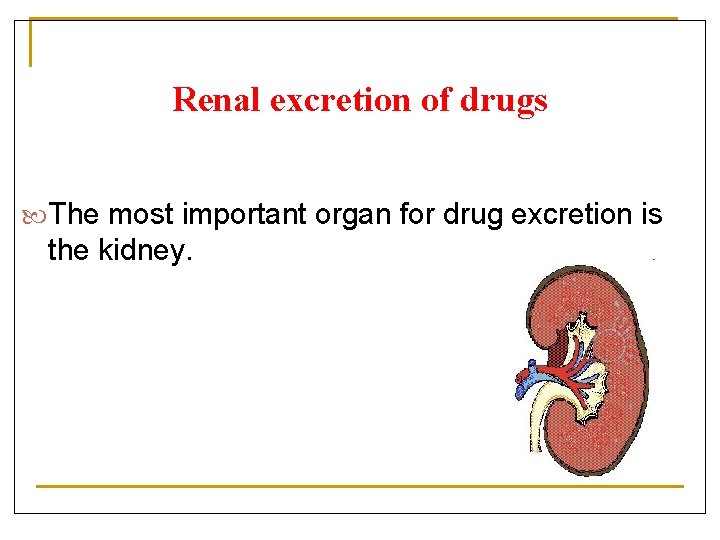 Renal excretion of drugs The most important organ for drug excretion is the kidney.