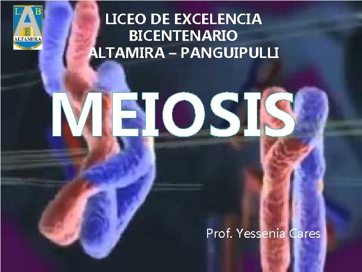LICEO DE EXCELENCIA BICENTENARIO ALTAMIRA – PANGUIPULLI MEIOSIS Prof. Yessenia Cares 