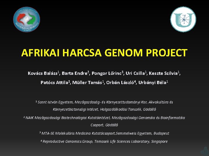 AFRIKAI HARCSA GENOM PROJECT Kovács Balázs 1, Barta Endre 2, Pongor Lőrinc 3, Uri