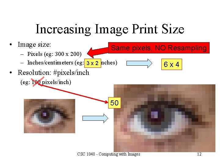 Increasing Image Print Size • Image size: Same pixels, NO Resampling – Pixels (eg: