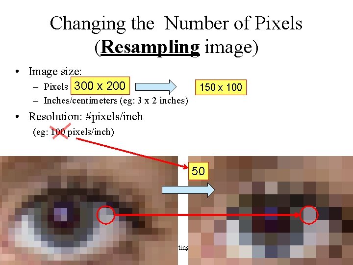 Changing the Number of Pixels (Resampling image) • Image size: – Pixels 300 x