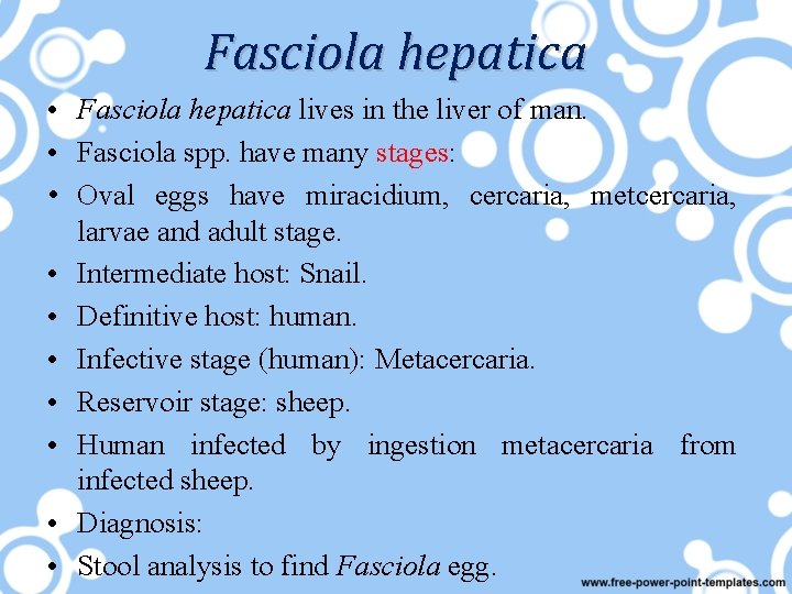 Fasciola hepatica • Fasciola hepatica lives in the liver of man. • Fasciola spp.