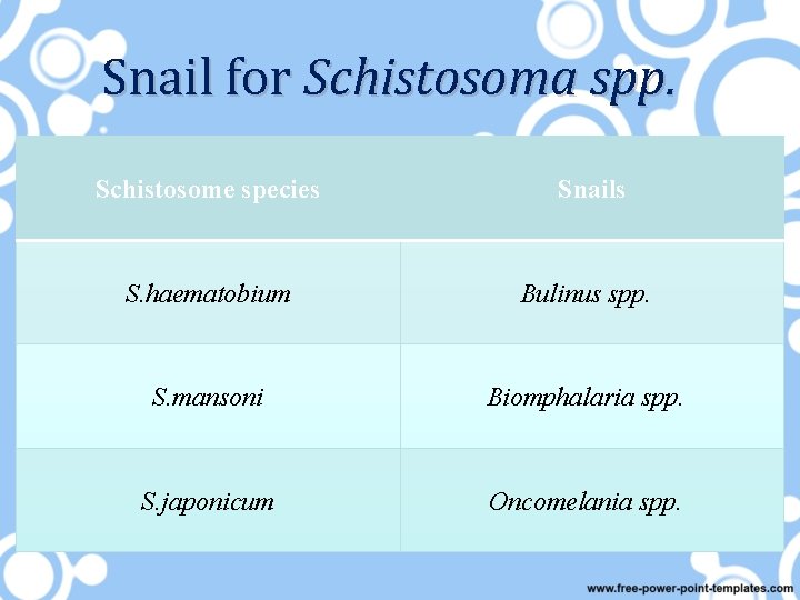 Snail for Schistosoma spp. Schistosome species Snails S. haematobium Bulinus spp. S. mansoni Biomphalaria