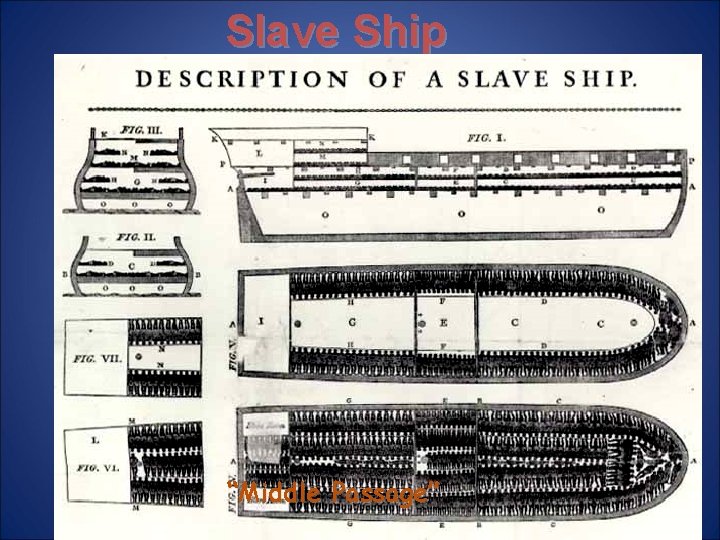 Slave Ship “Middle Passage” 