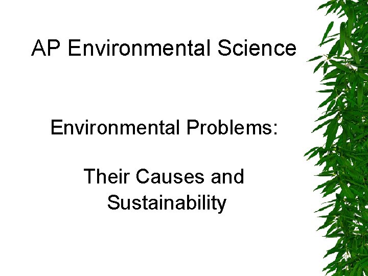 AP Environmental Science Environmental Problems: Their Causes and Sustainability 