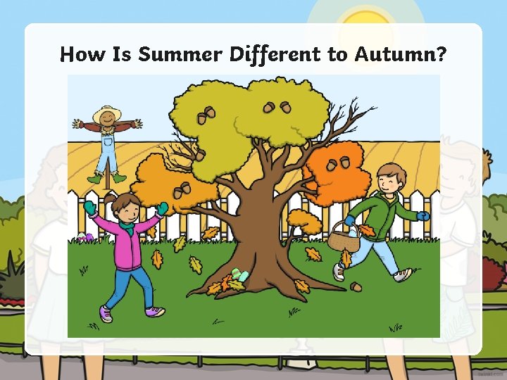 How Is Summer Different to Autumn? 