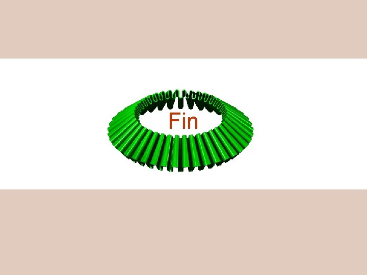 Fin 