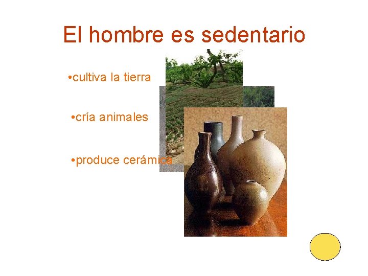 El hombre es sedentario • cultiva la tierra • cría animales • produce cerámica