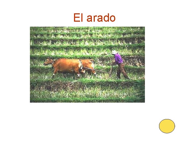 El arado 