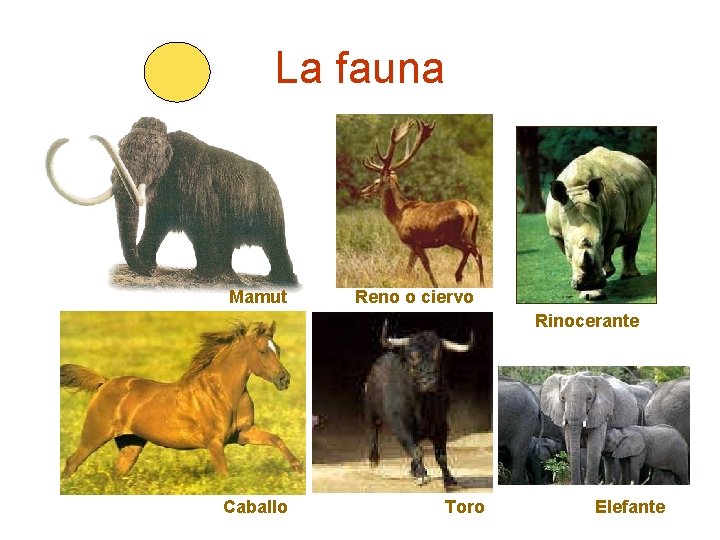 La fauna Mamut Reno o ciervo Rinocerante Caballo Toro Elefante 