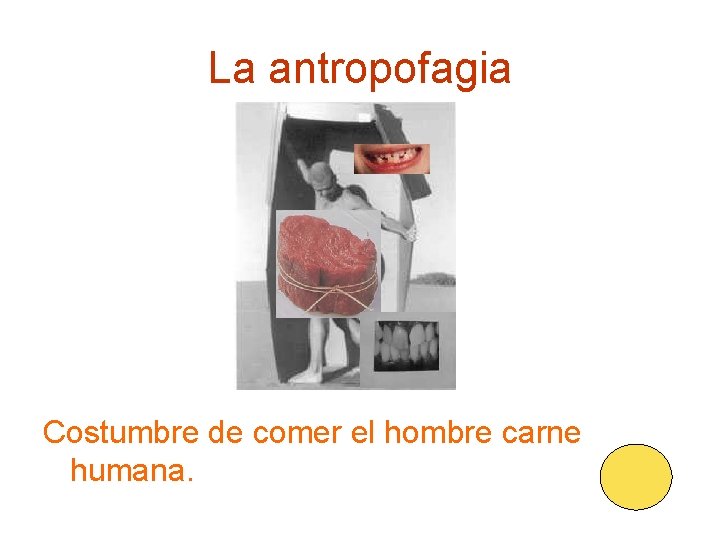 La antropofagia Costumbre de comer el hombre carne humana. 