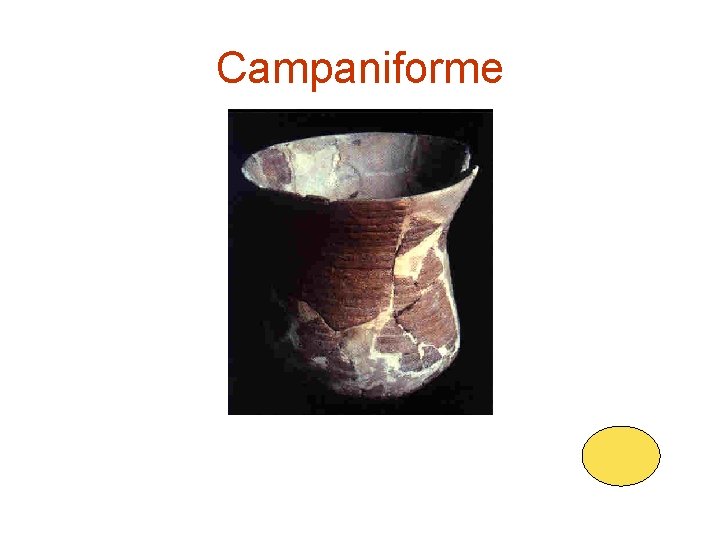 Campaniforme 