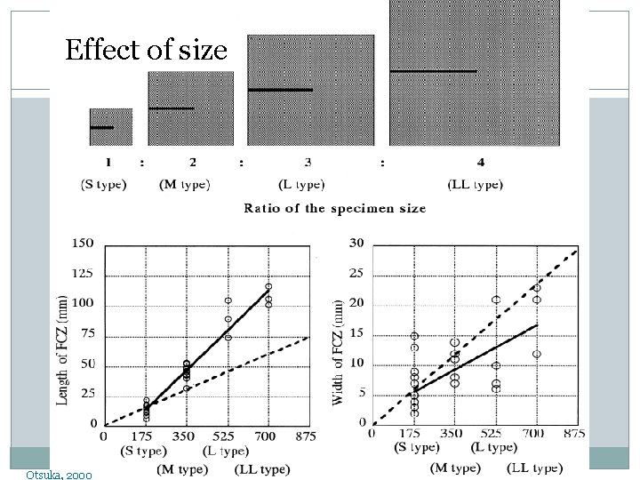 Effect of size Otsuka, 2000 