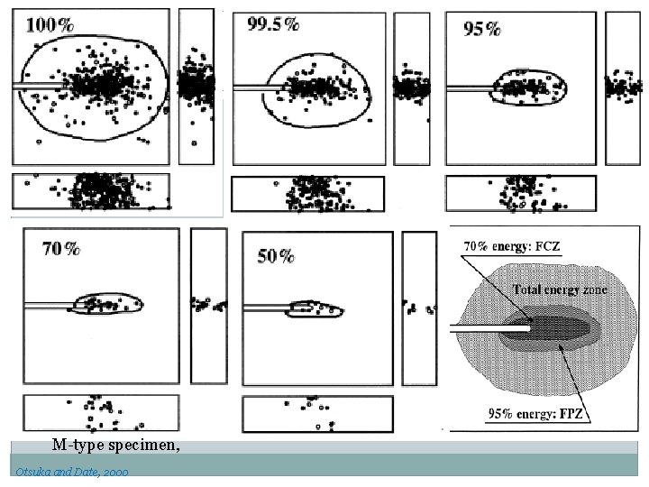 M-type specimen, Otsuka and Date, 2000 