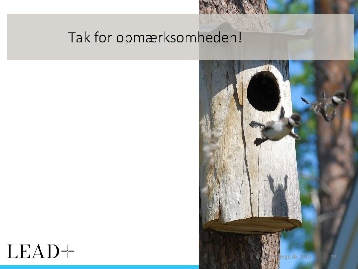 Tak for opmærksomheden! © cut-e Norge AS 2015 19 