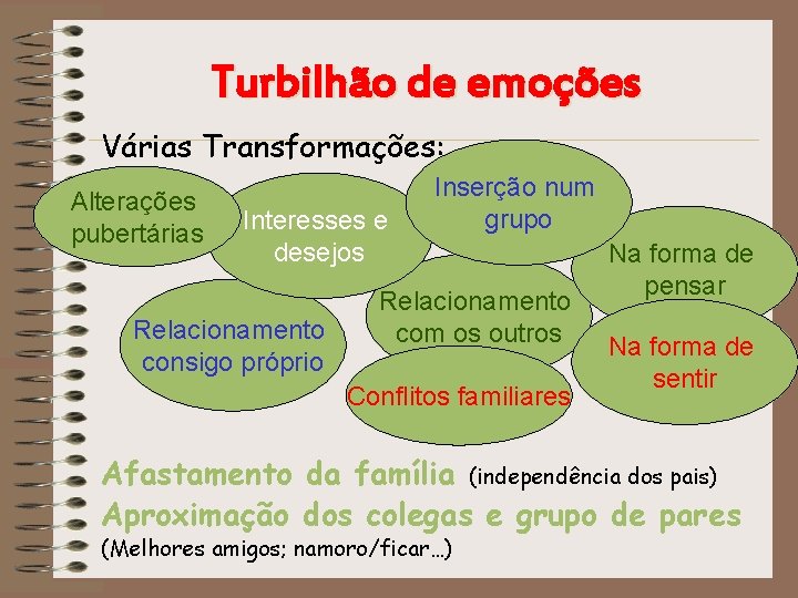 Turbilhão de emoções Várias Transformações: Alterações pubertárias Interesses e desejos Relacionamento consigo próprio Inserção