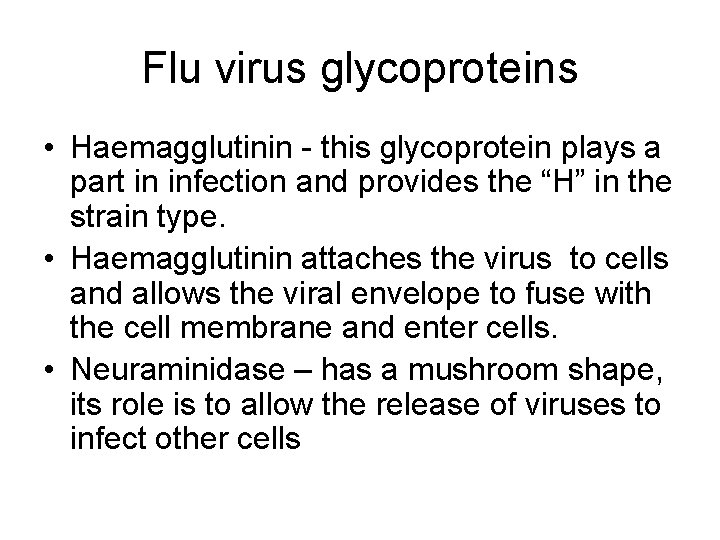 Flu virus glycoproteins • Haemagglutinin - this glycoprotein plays a part in infection and