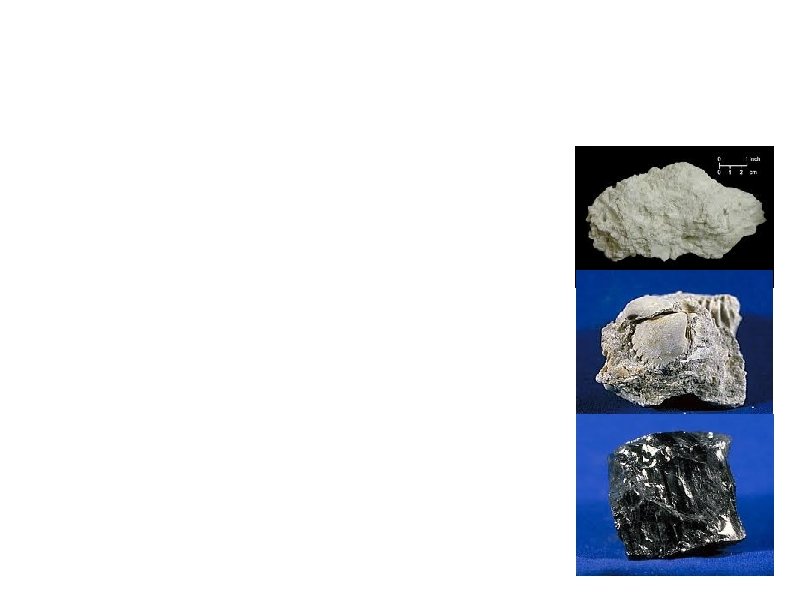 Organic 1) Chemical – Dissolved calcite precipitates out to form limestone. 2) Bioclastic –