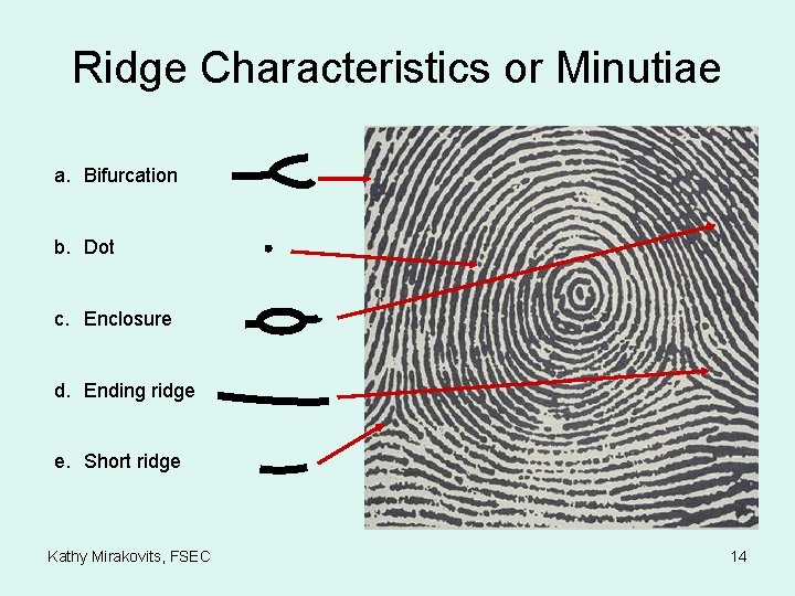 Ridge Characteristics or Minutiae a. Bifurcation b. Dot c. Enclosure d. Ending ridge e.