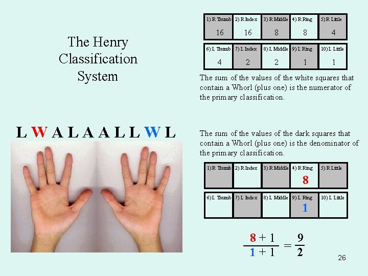 1) R Thumb 2) R Index The Henry Classification System LWALAALLWL 16 16 6)